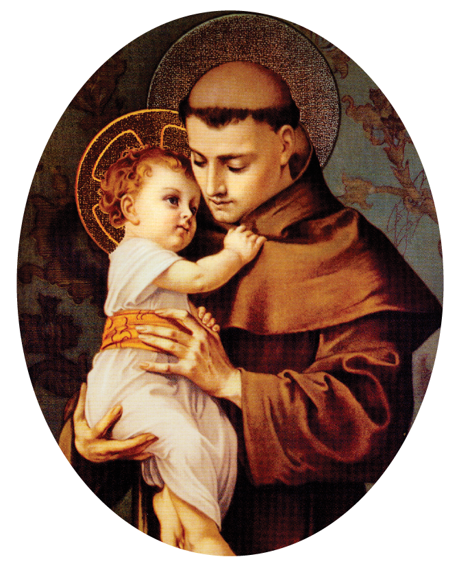 Sleeping St. Joseph Statue – St. Anthony's Book & Gift Shop, LLC