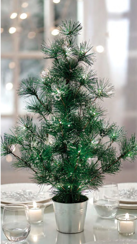 Light Up- Potted Tree with Snow